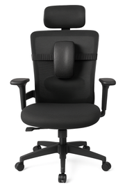 Posture Correction Device - Ergo Chair Support
